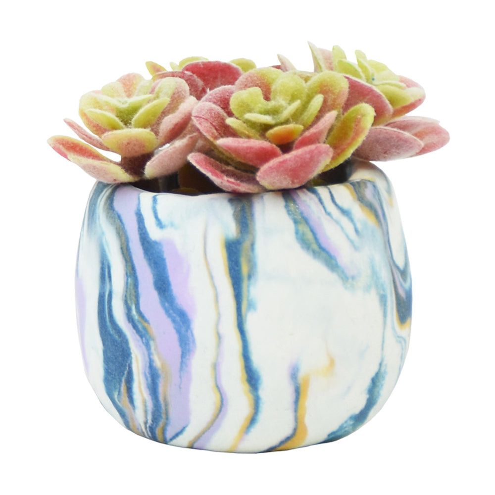 Sculpey III Oven Bake Clay Succulent Pots